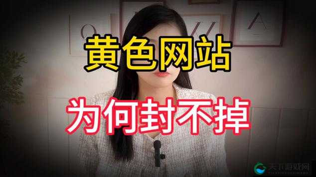 黄沙视频在线观看：www 免费直播最新版为何进不去？