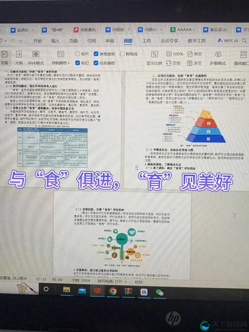 肉食教师食取报告 3HD：独特视角下的揭秘与探讨