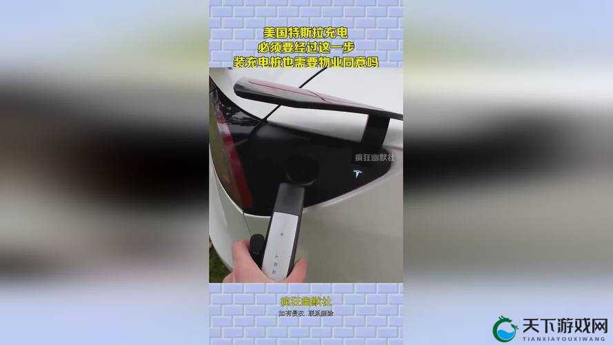 ：如何把坤放进欧派，技巧大揭秘