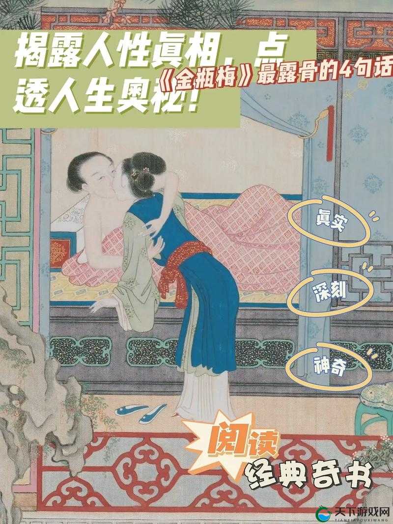 新金瓶梅攻略:深入解读经典文学作品的全面指南