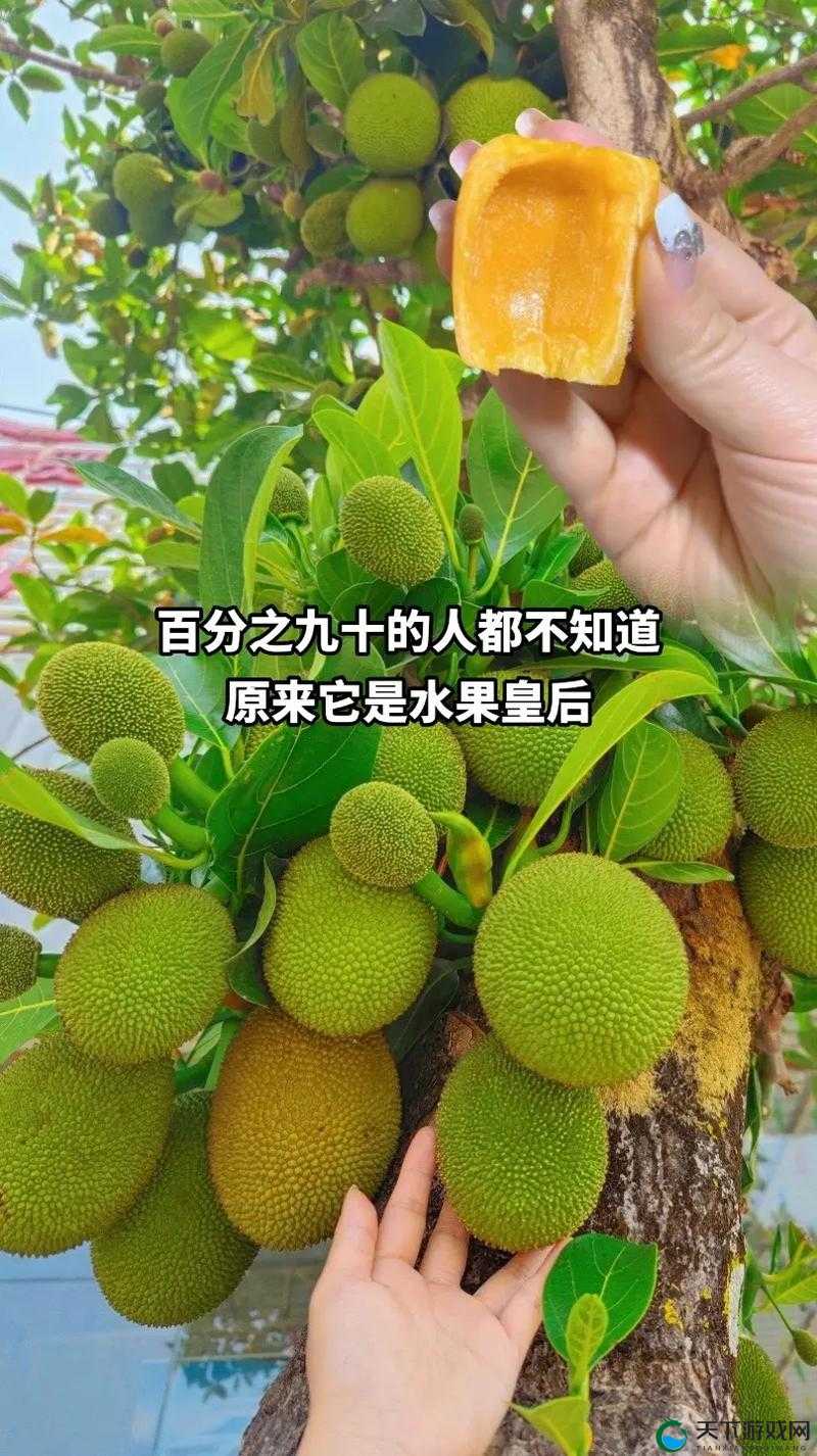 谁能拒绝大肠和热牛奶呢：当小洞洞饿了的时候