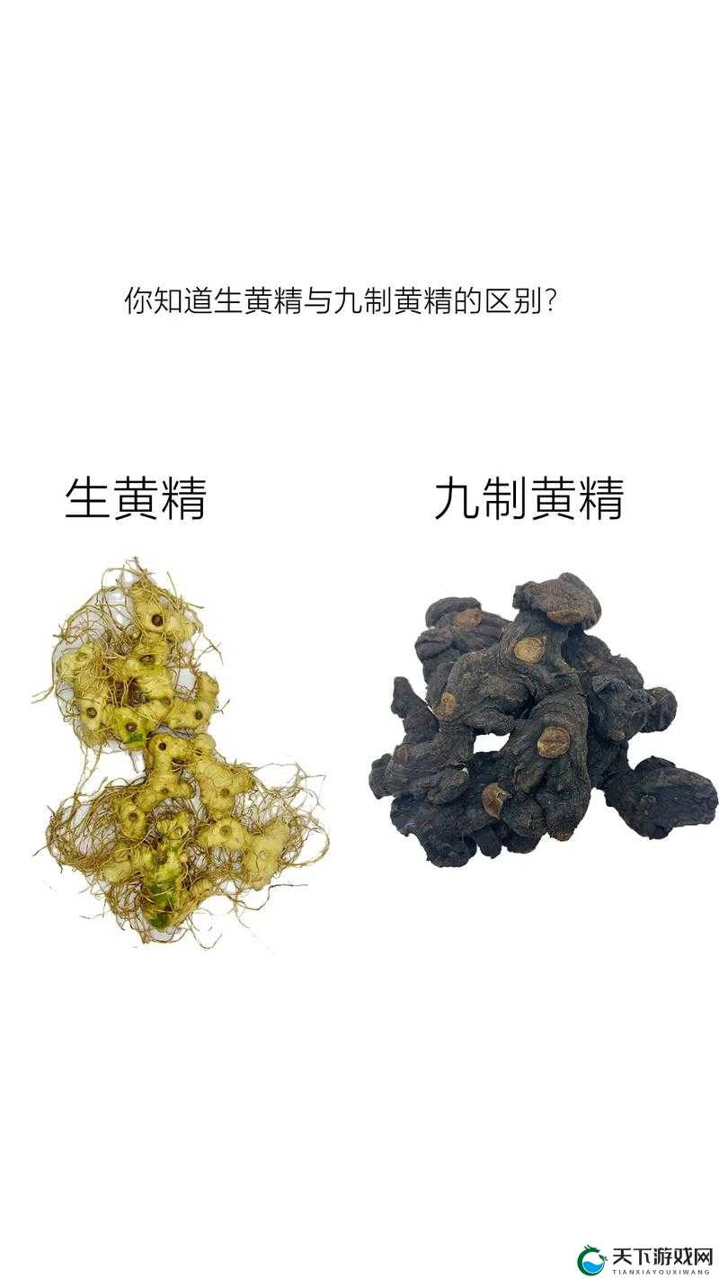 解析国精产品一二三区区别在哪