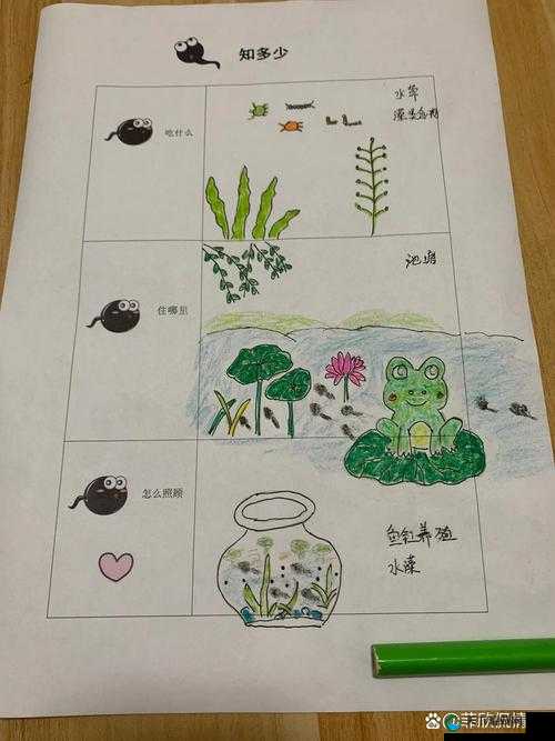 一个释放蝌蚪的网站：让生命在自然中自由成长