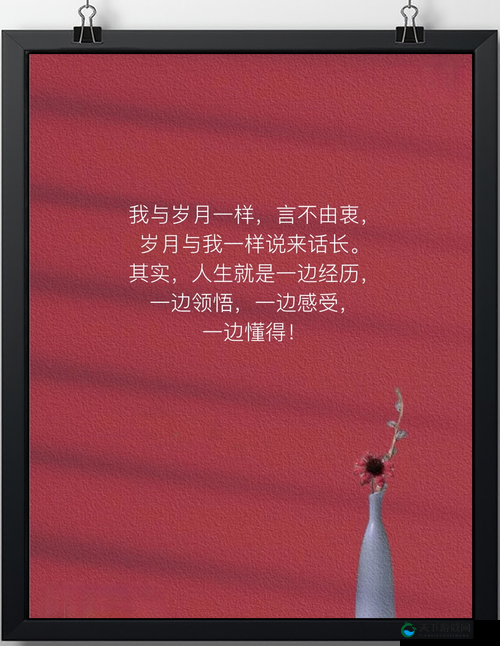 江教授日常生活的点滴记录与感悟分享