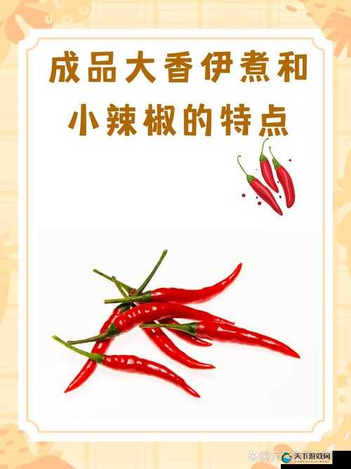 大香伊煮小辣椒成品：探寻美食背后的故事