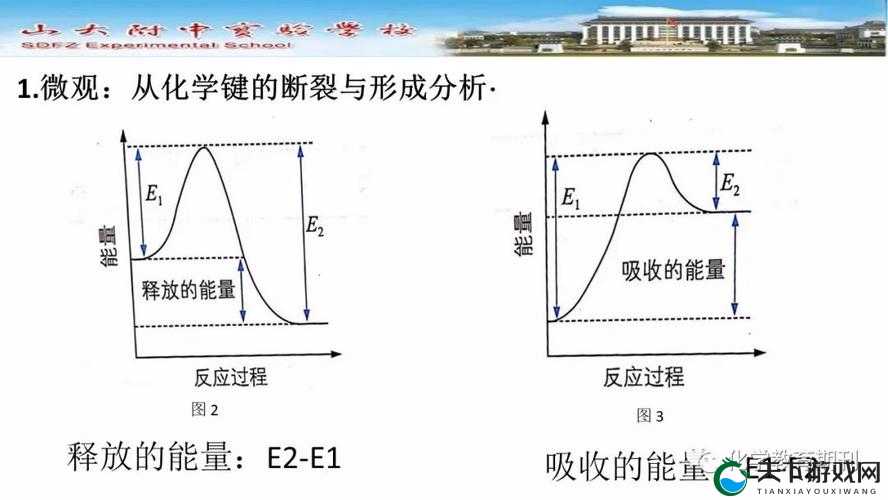 遇见圣魔传的奇幻之旅，化学测试题答案大揭秘