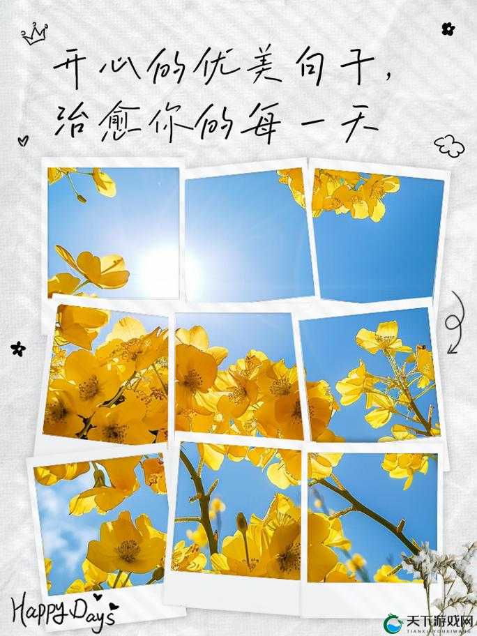 综合开心五月份激动的心情：让快乐在五月尽情绽放