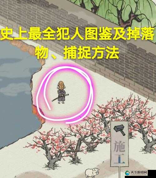 江南百景图,揭秘盗贼抓捕攻略与神秘踪迹