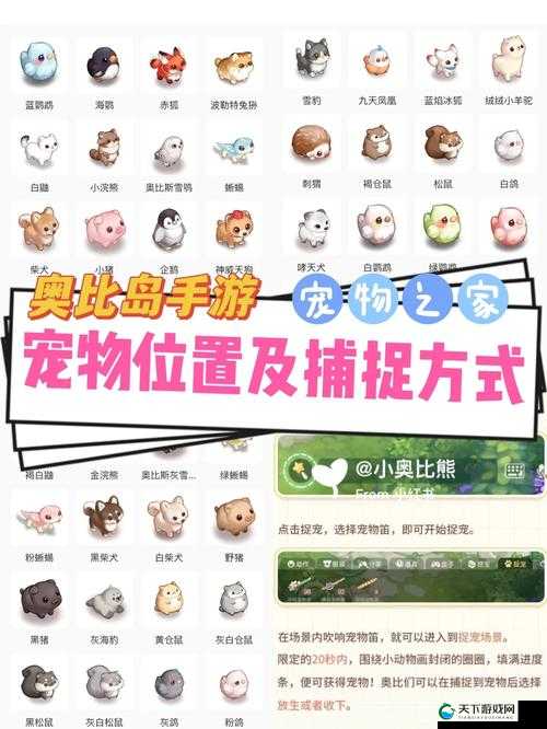 遇见手游，宠物捕捉的奇妙之旅