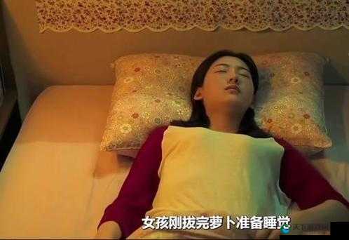不盖被子打牌生孩子免费观看:独特新奇场景引人瞩目