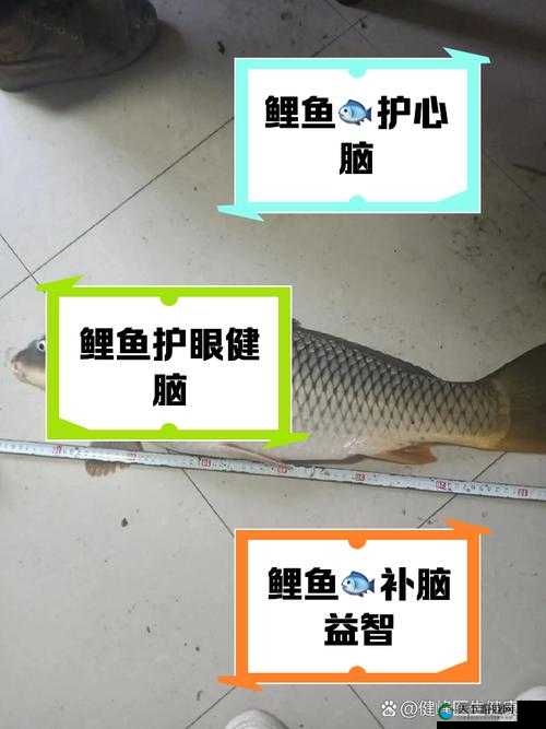 一夹一放和锦鲤吸水的区别：原理与效果大揭秘