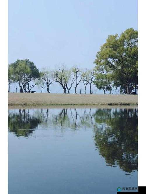 春风又绿江南岸全红妈妈那深沉而伟大的爱