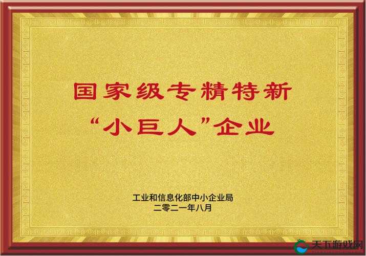 国精产品 999 国精产：引领行业新高度的杰出代表