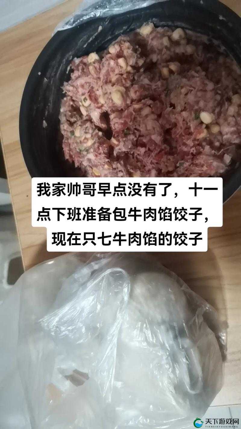 梁教授要稳住TXT肉馅小水饺：探索美食背后的秘密与魅力
