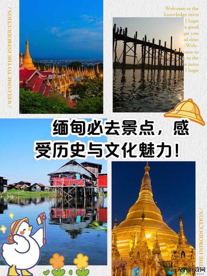 魅狐直播 14MAY18_XXXXXL56ENDIAN:一场关于历史与文化的探索之旅