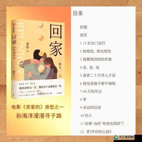 one 一个回家版：关于它的详细介绍与深度剖析