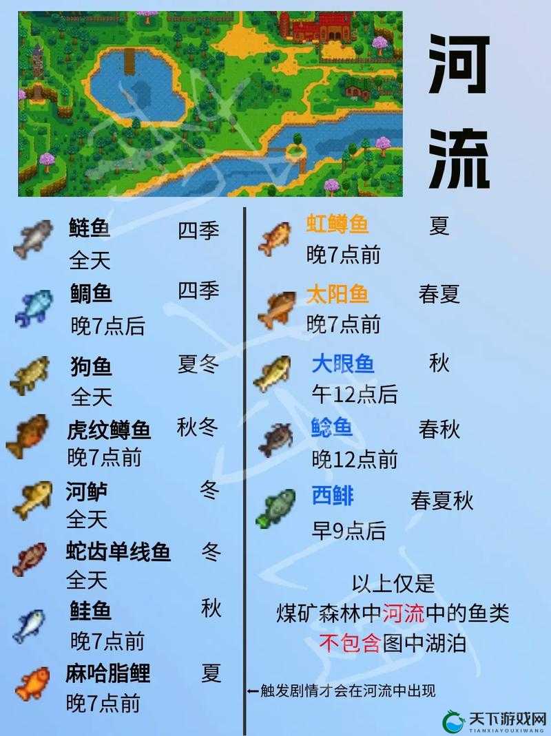小森生活，探索与收获——鱼类位置全解析
