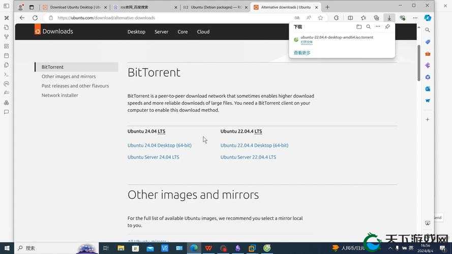 大肥胖 VPSWINDOWS ：畅享稳定高效的虚拟服务器体验