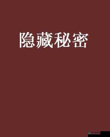 78m-78 隐藏通道 2：神秘空间背后的未知秘密探索