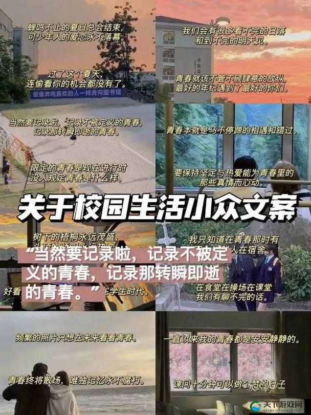 岁岁常欢愉（校园 1V1）结局 a 如何：校园青春爱恋的别样美好