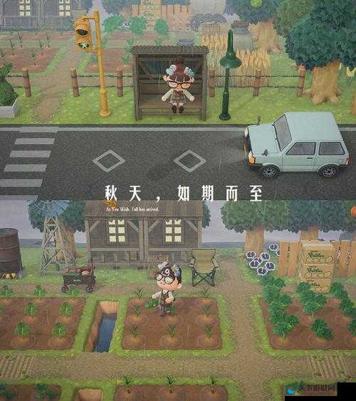 小森生活灰羊寻觅指南，位置与刷新时间全揭秘