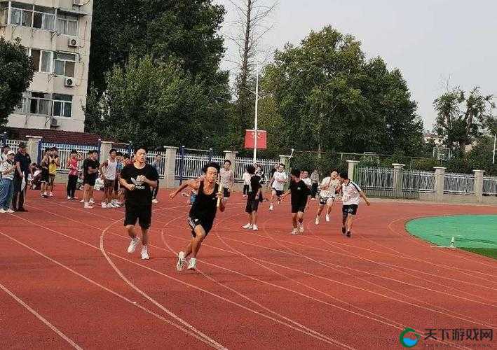 校园运动会-一场充满激情与活力的青春盛宴