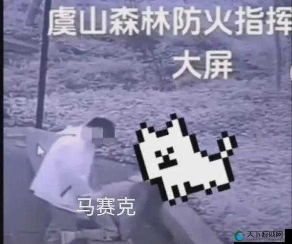 拔萝卜打牌不盖被子——趣味十足的别样场景