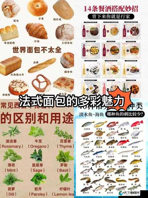 小东西怎么这么会吃：探究其惊人食欲背后的原因