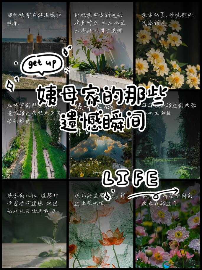 在姨母家的那些未能圆满的遗憾