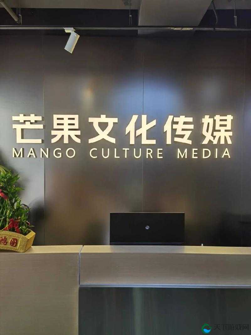 打造精品影视，引领传媒文化：精东影视传媒文化管理公司