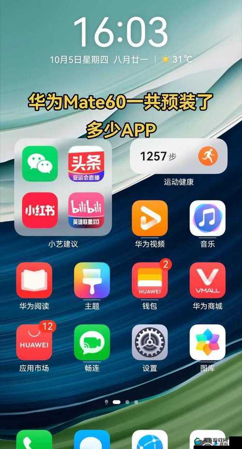 b 站大全永不收费 2023 入口揭秘：探索全新的视频世界