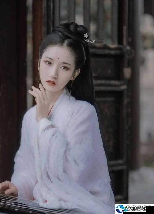 无人一区与二区区别是什么引发红桃粉丝热议探讨