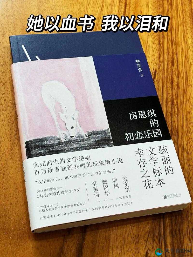 房思琪的初恋乐园：全文免费阅读畅享经典之作