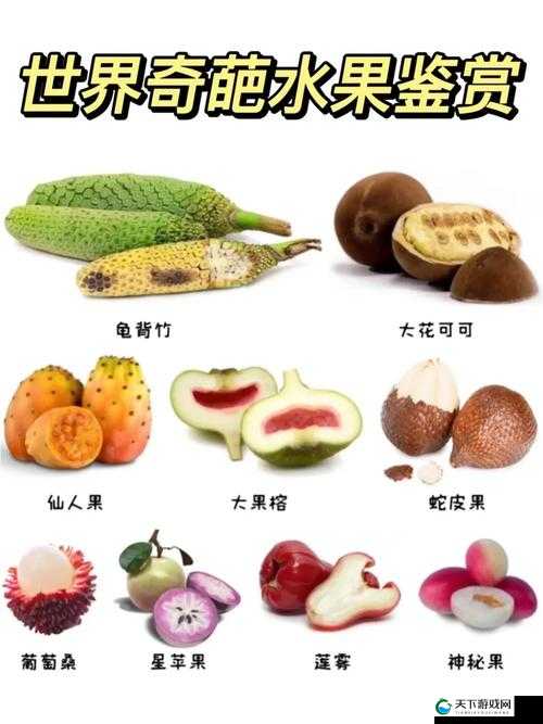 香蕉丝瓜草莓樱桃草莓榴莲知乎：各种水果的奇妙世界