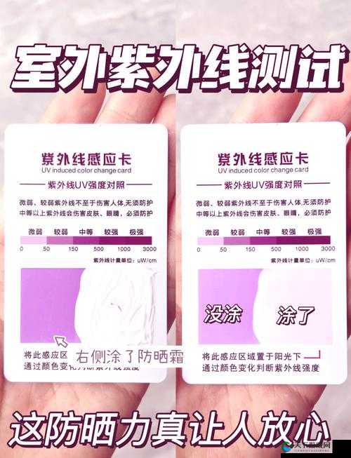 千人千色 t9 与 t9t9 区别之详细对比分析与解读