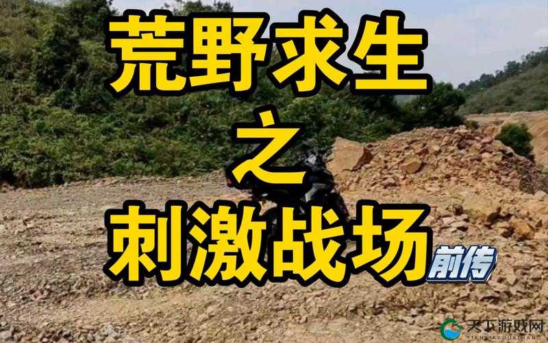 荒野求生日久生情：刺激战场情侣的浪漫之旅