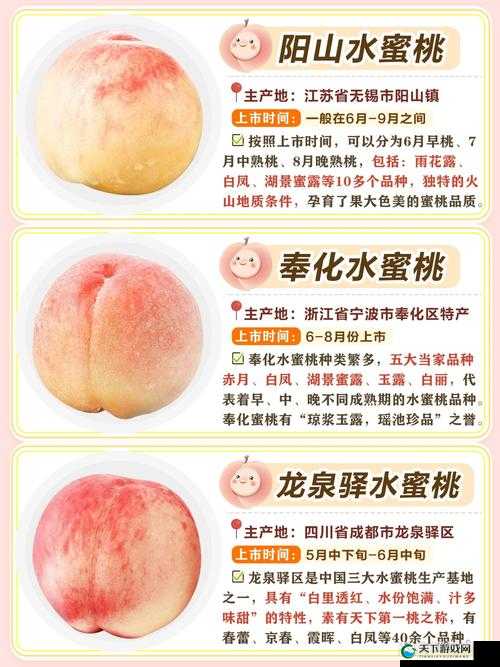 水帘洞肉桂水蜜桃 K8 独特风味品鉴