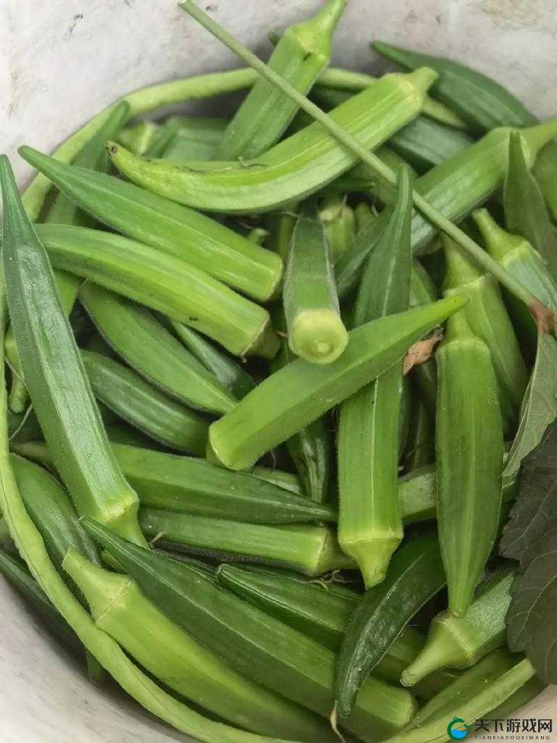 番茄黄瓜丝瓜草莓秋葵大全之美味蔬果大集合