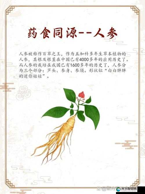 江湖奇遇，探寻那传说中的侠客人参