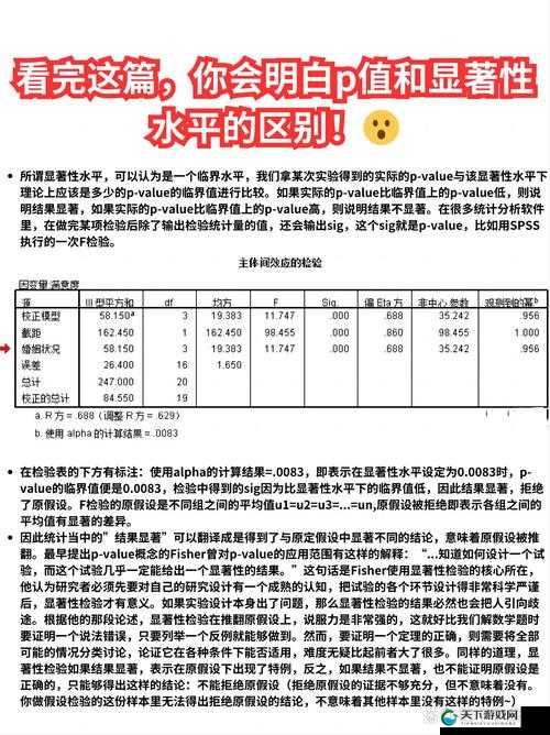 成色好的 P31S 有何特点-详细解析其独特优势与魅力所在