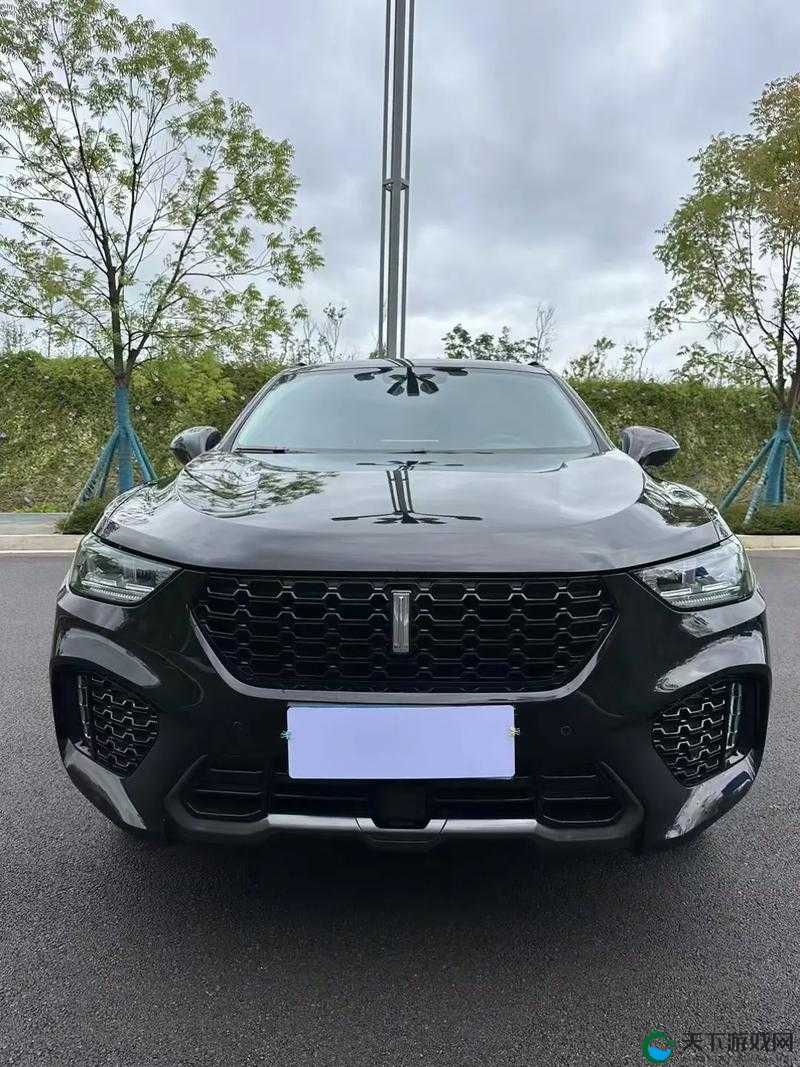 weyvv5 国产 suv 视频展示：时尚外观与强劲动力的完美结合