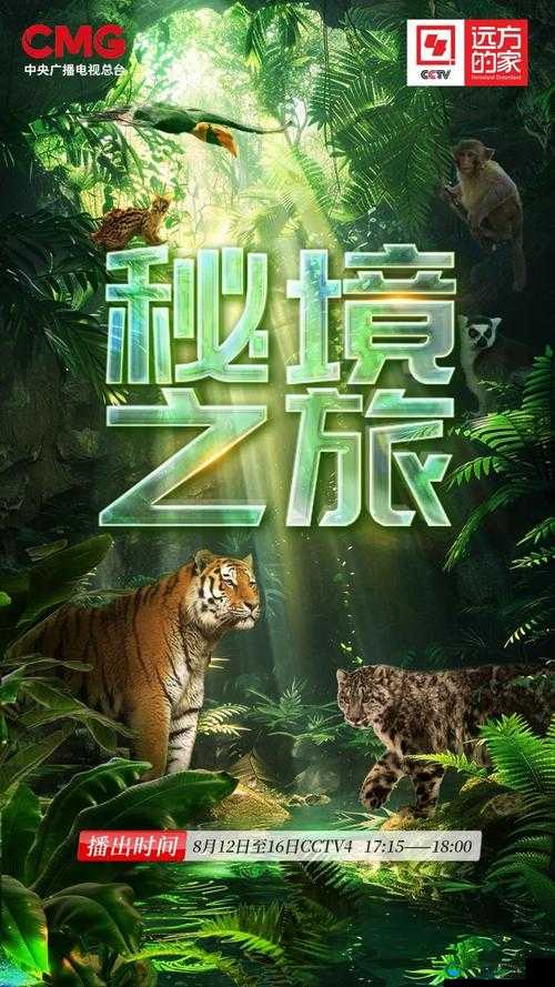 揭秘边境之旅：一场跨越国界的冒险