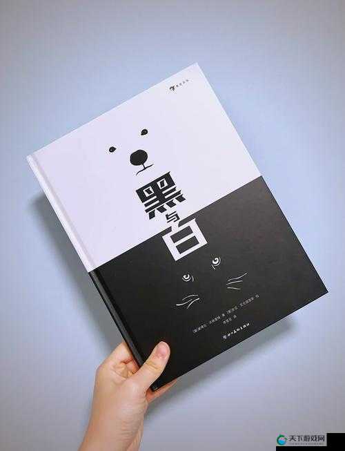 CERANETWORK 白与黑：揭开背后的神秘面纱