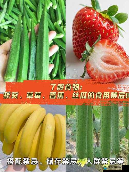 香蕉菠萝水蜜桃黄瓜丝瓜秋葵：多样蔬果的奇妙世界