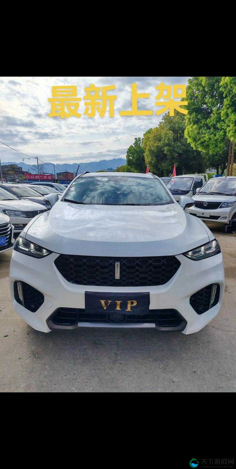 weyvv7 视频：全方位展现 wey vv7 的卓越性能与魅力风采