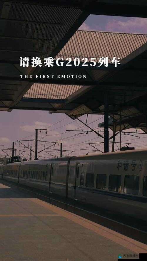 满 18 点此安全转入 2024 大象：开启全新征程之旅