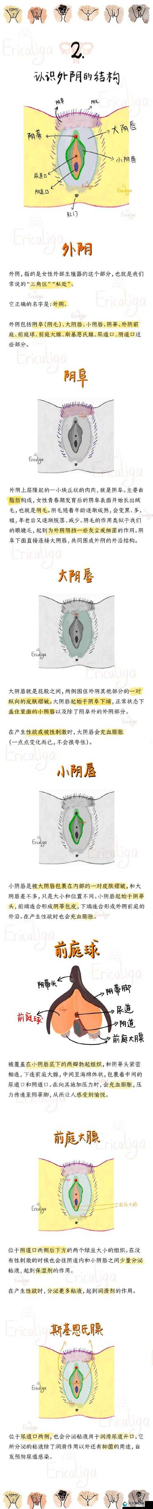 专家指导揭晓 16ⅤIDE0SEX 性欧解读全析