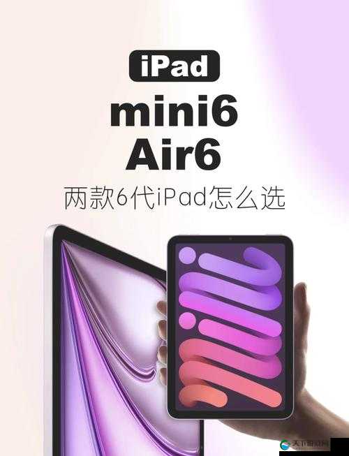 秘密入口 MINI6 的安全保护之重要性及全面保障策略探讨