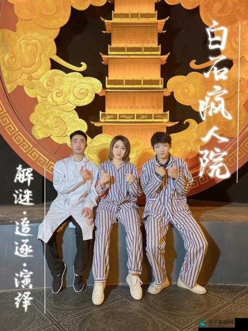 我的侠客大理密室破阵全攻略，智慧与勇气的双重考验