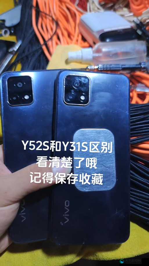 成色好的 y31s 标准版官网明确表示解约-平台相关情况详细说明